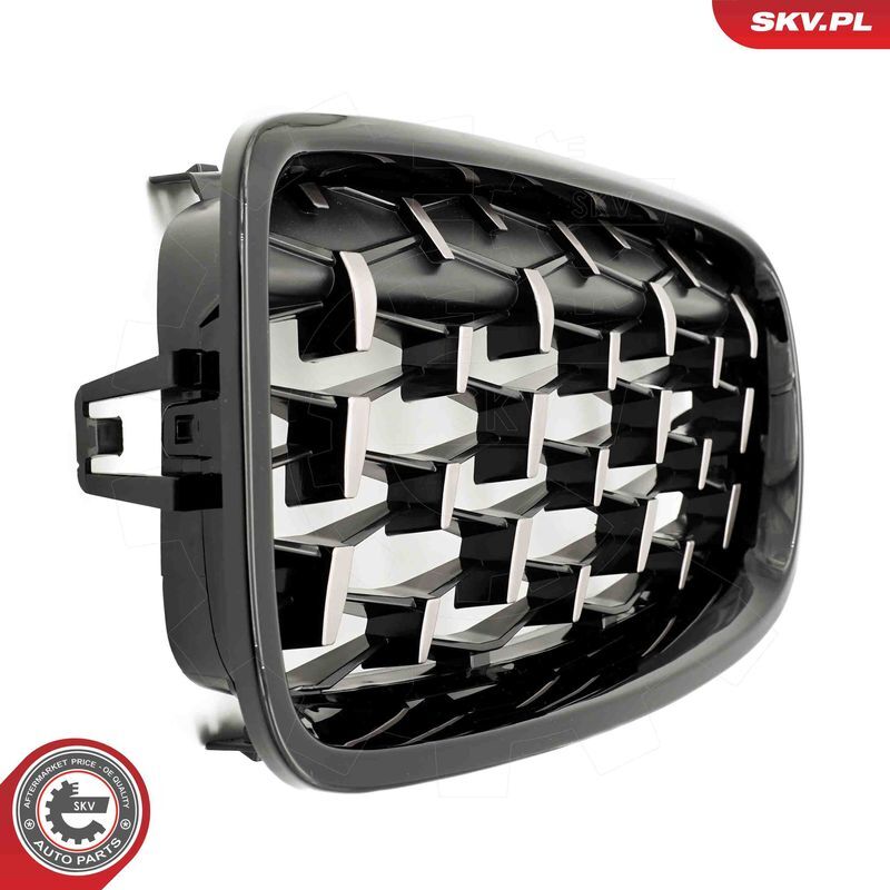 ESEN SKV, Grille de radiateur