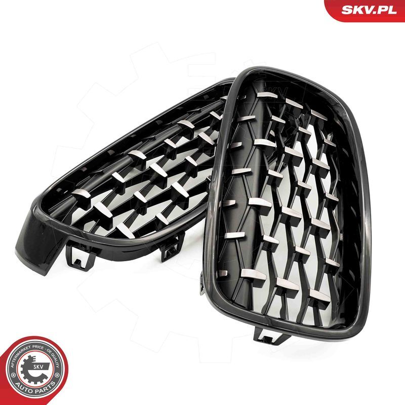 ESEN SKV, Grille de radiateur