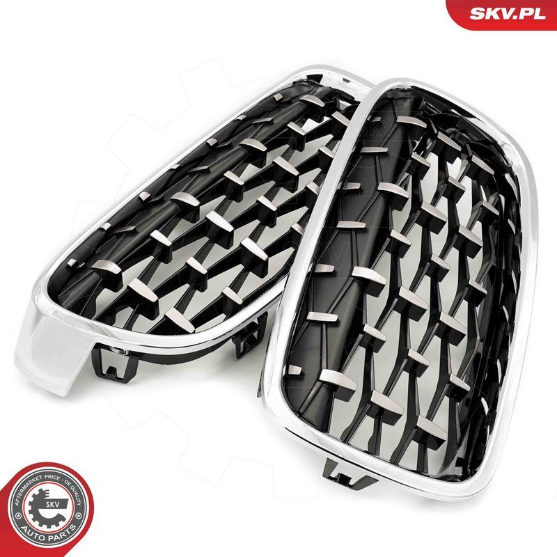 ESEN SKV, Grille de radiateur