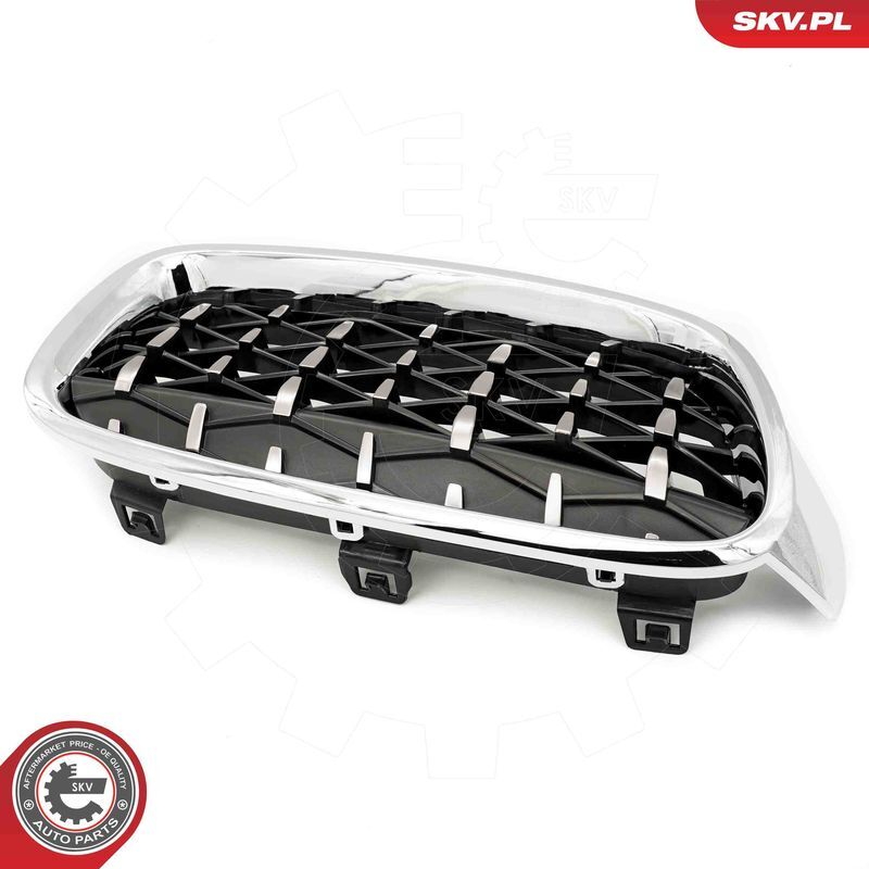 ESEN SKV, Grille de radiateur