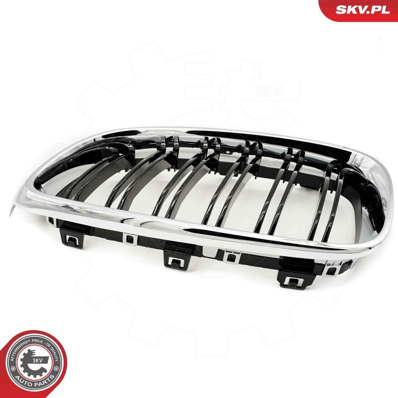 ESEN SKV, Grille de radiateur