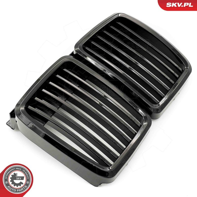 ESEN SKV, Grille de radiateur