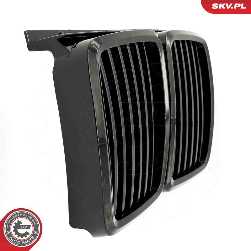 ESEN SKV, Grille de radiateur