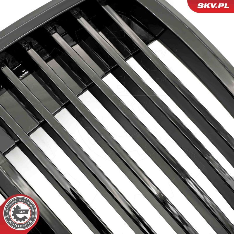 ESEN SKV, Grille de radiateur