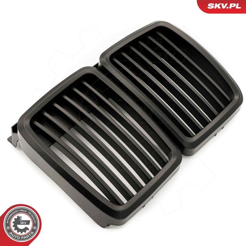 ESEN SKV, Grille de radiateur