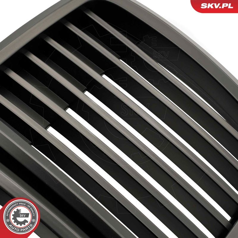 ESEN SKV, Grille de radiateur