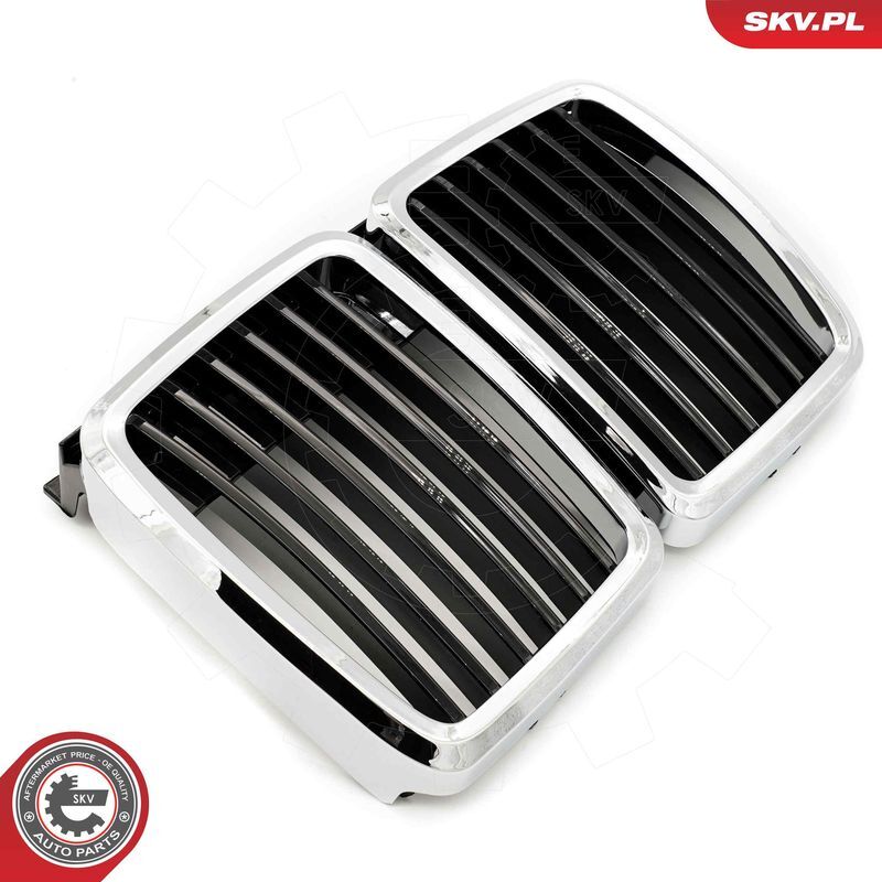 ESEN SKV, Grille de radiateur