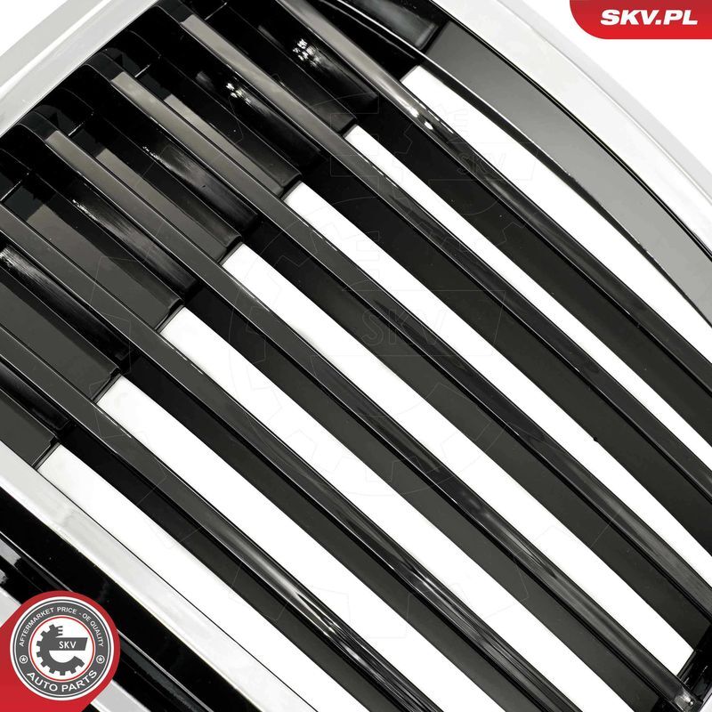 ESEN SKV, Grille de radiateur