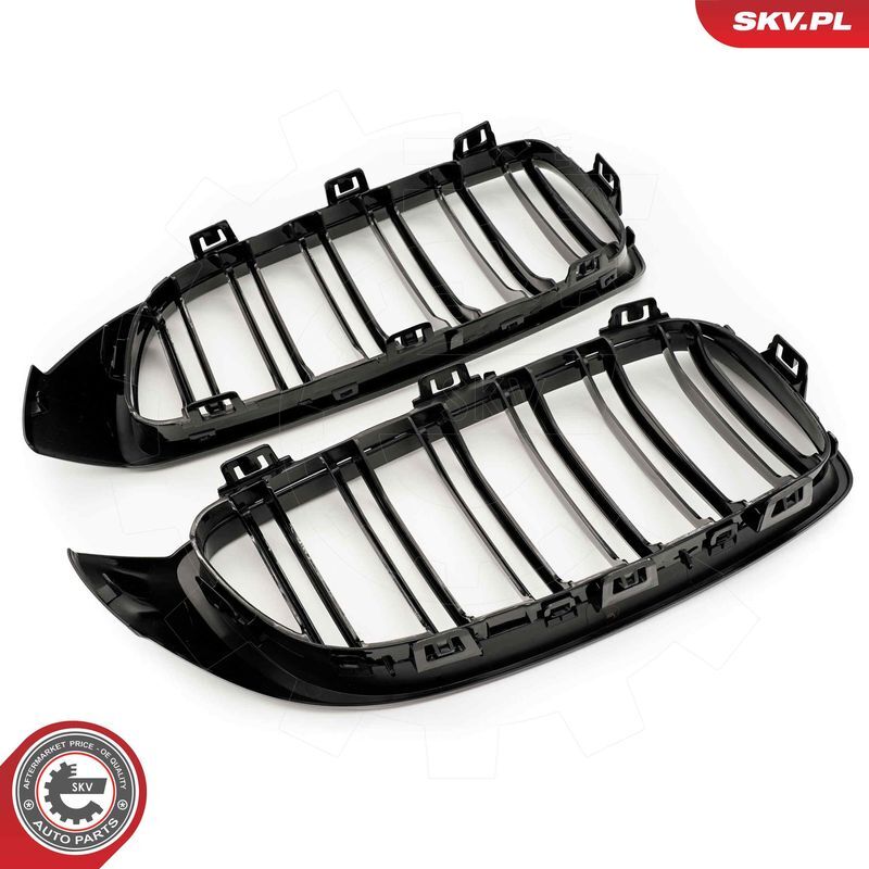 ESEN SKV, Grille de radiateur