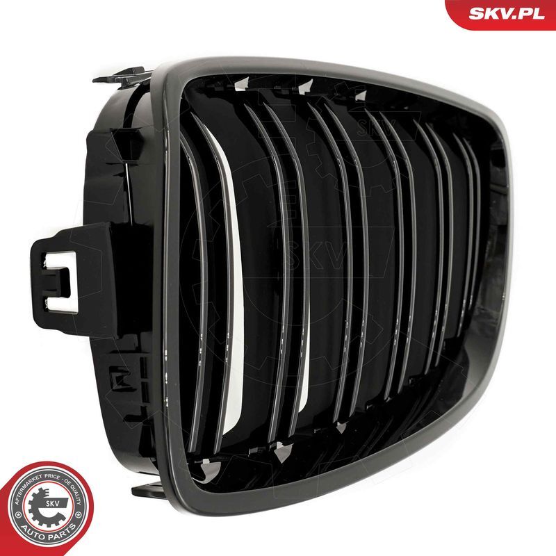 ESEN SKV, Grille de radiateur