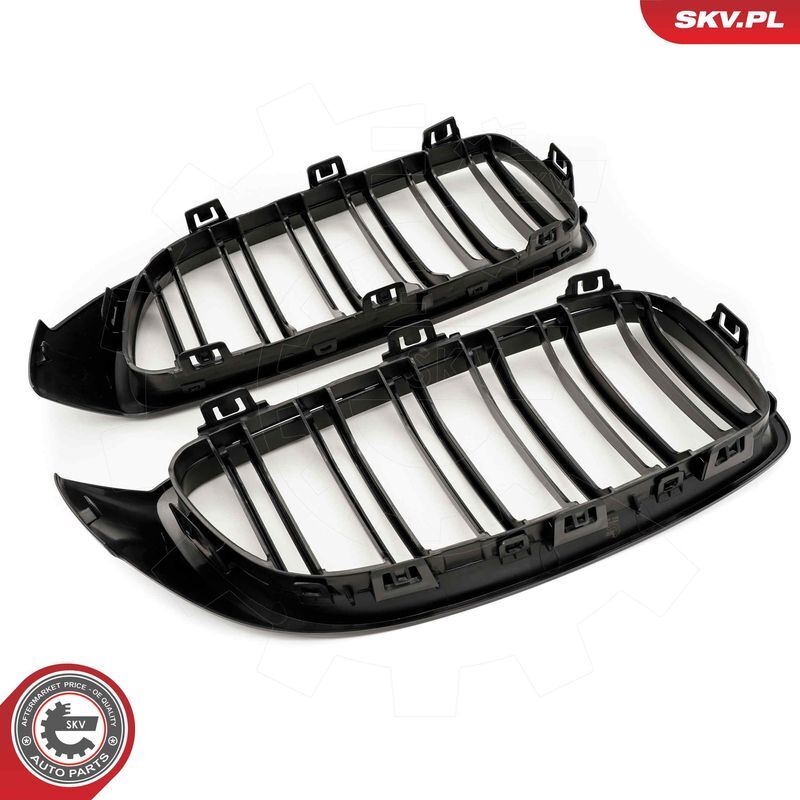 ESEN SKV, Grille de radiateur