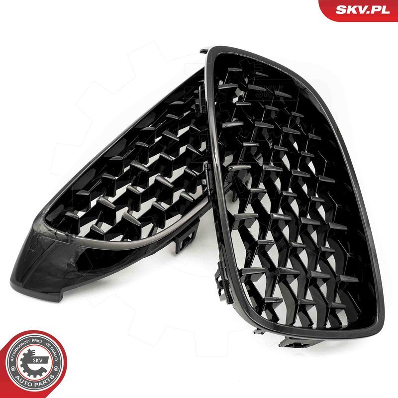 ESEN SKV, Grille de radiateur