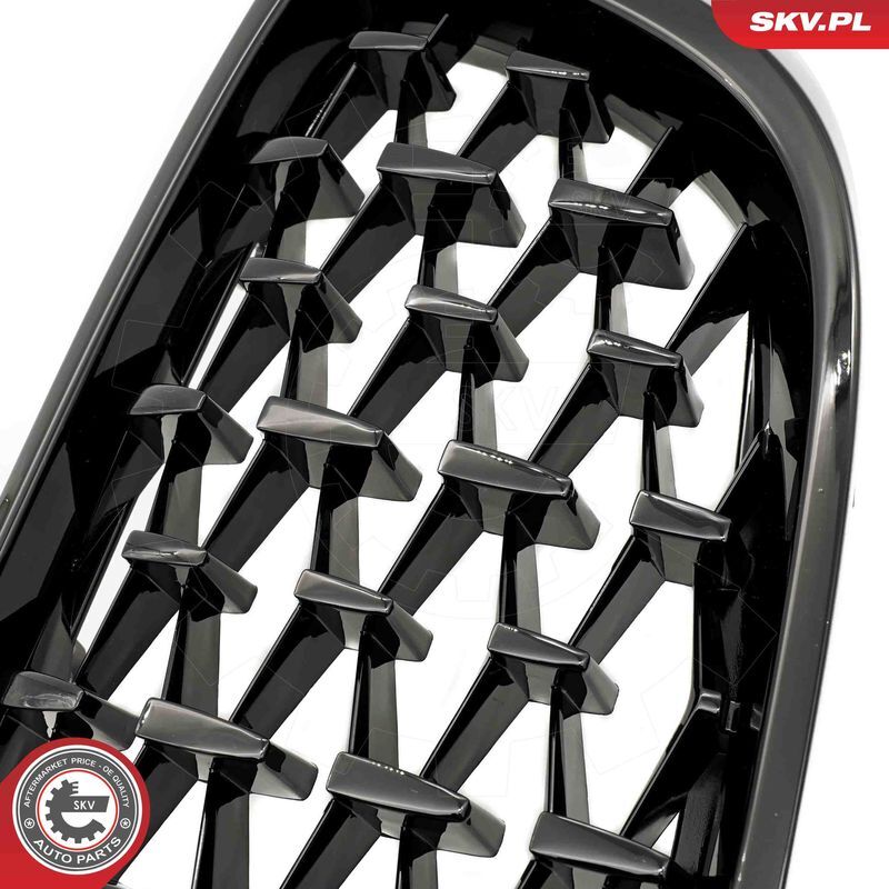 ESEN SKV, Grille de radiateur