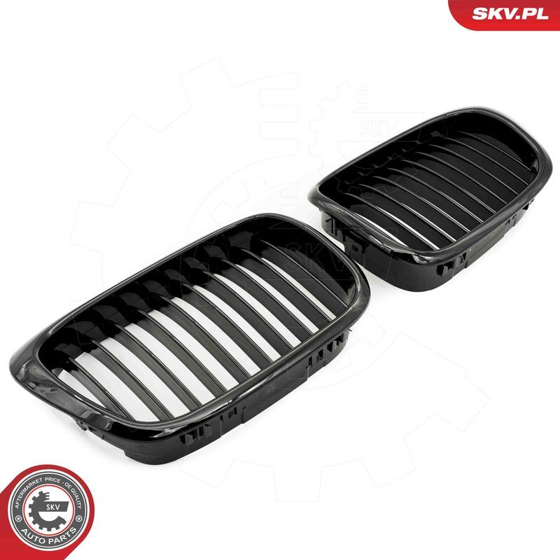 ESEN SKV, Grille de radiateur