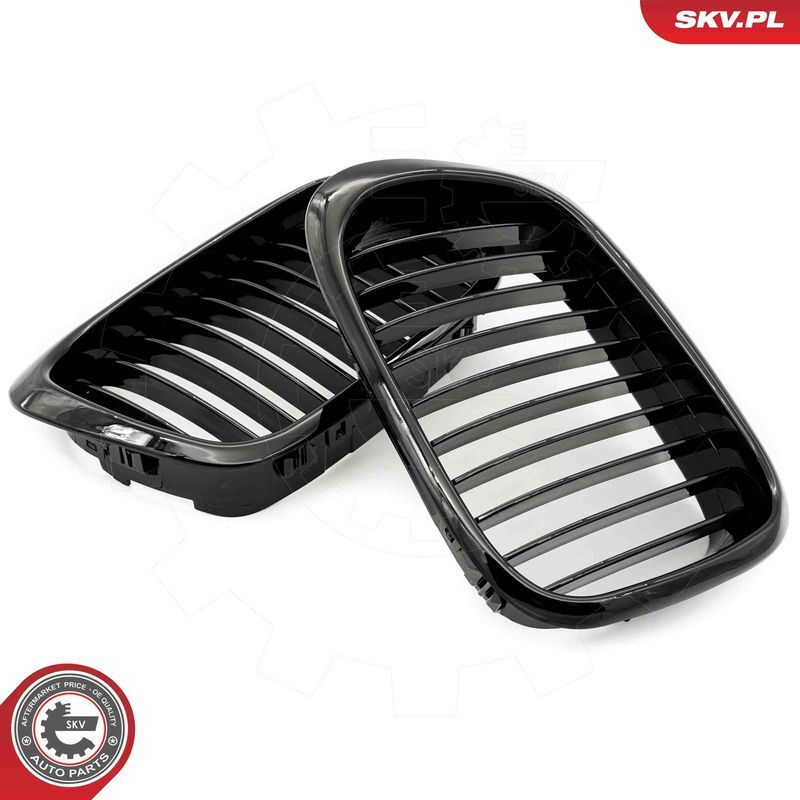 ESEN SKV, Grille de radiateur