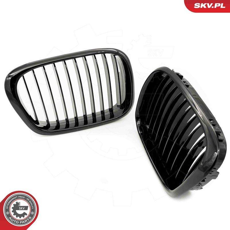 ESEN SKV, Grille de radiateur