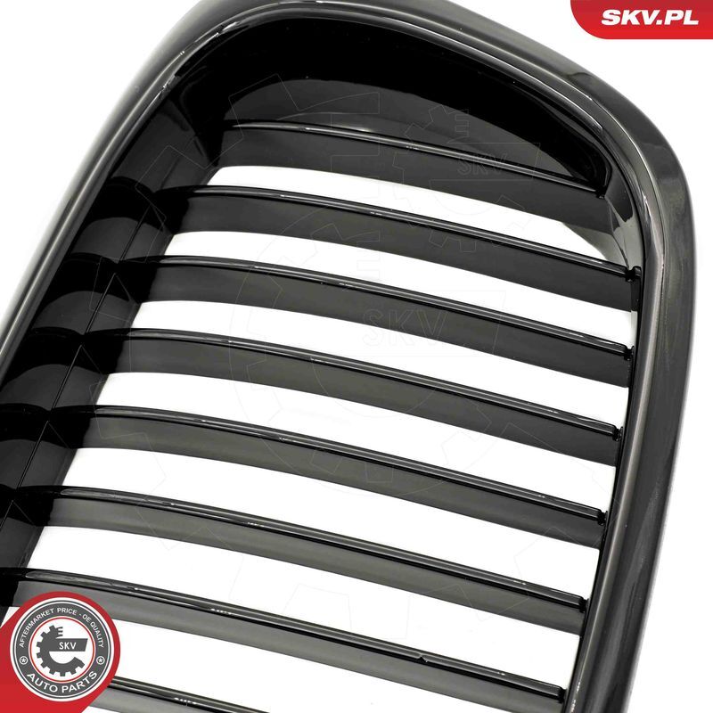 ESEN SKV, Grille de radiateur