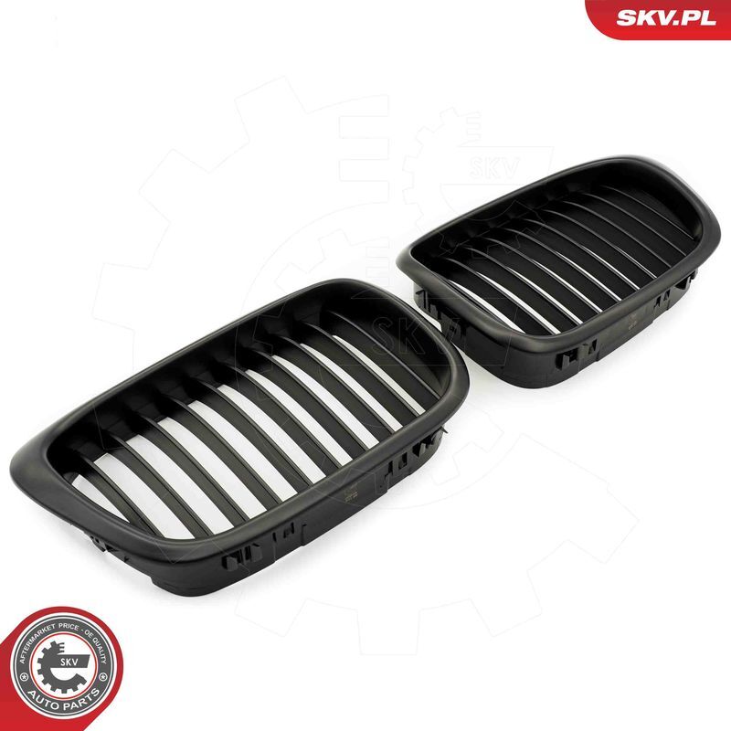 ESEN SKV, Grille de radiateur