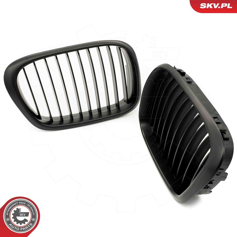 ESEN SKV, Grille de radiateur