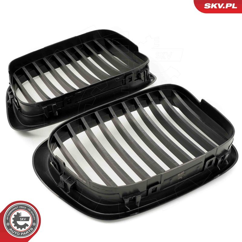 ESEN SKV, Grille de radiateur