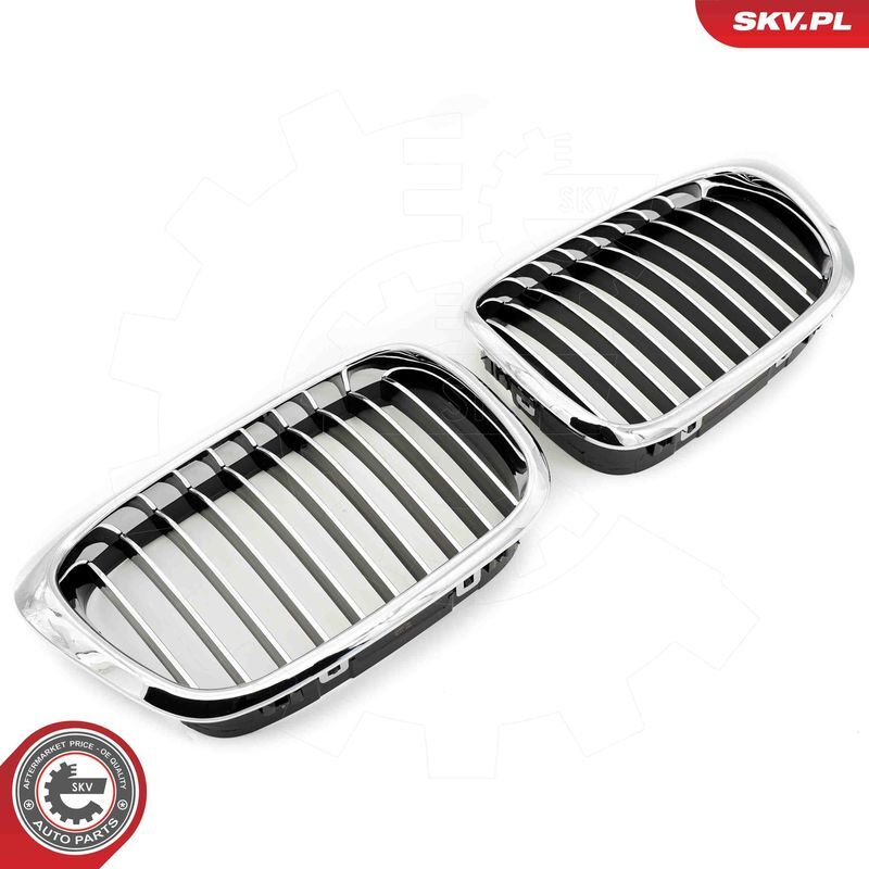 ESEN SKV, Grille de radiateur