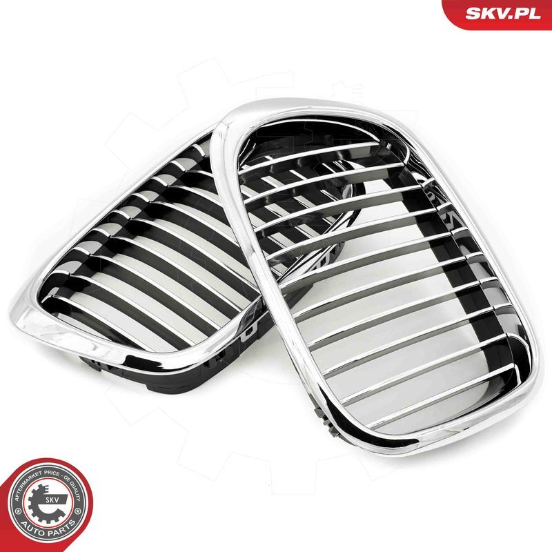 ESEN SKV, Grille de radiateur