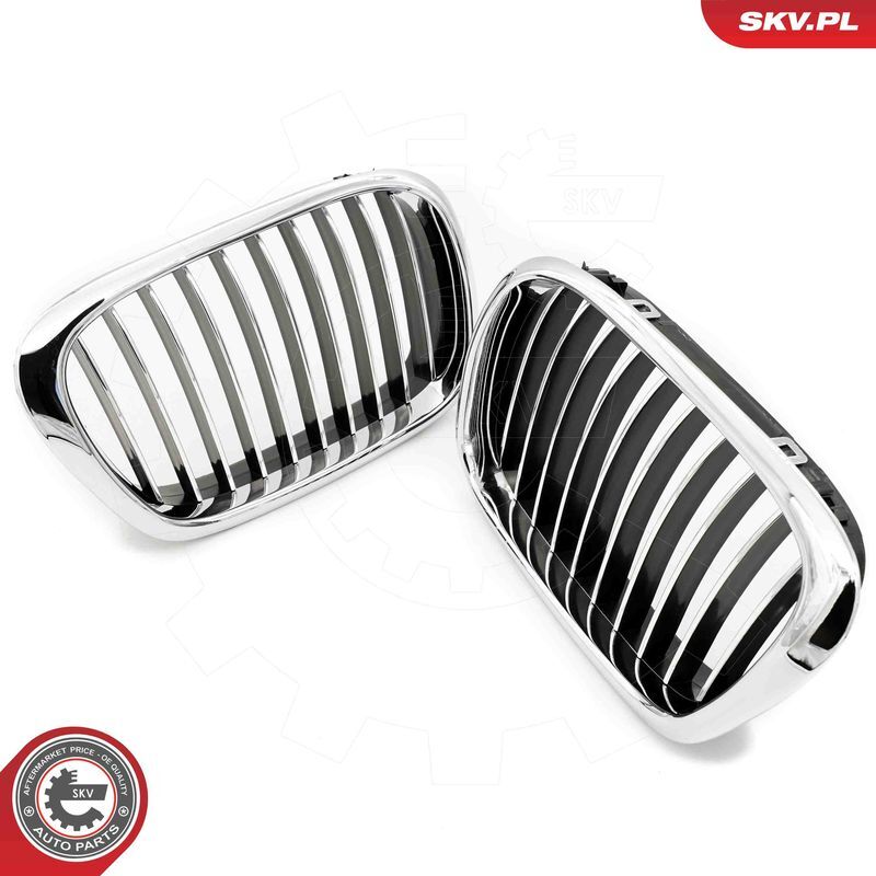 ESEN SKV, Grille de radiateur