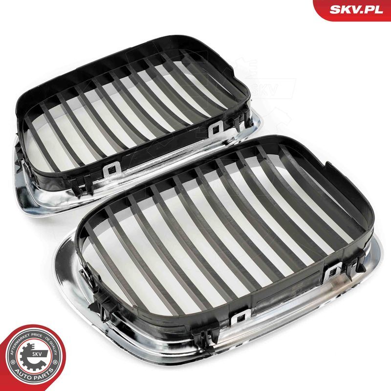 ESEN SKV, Grille de radiateur