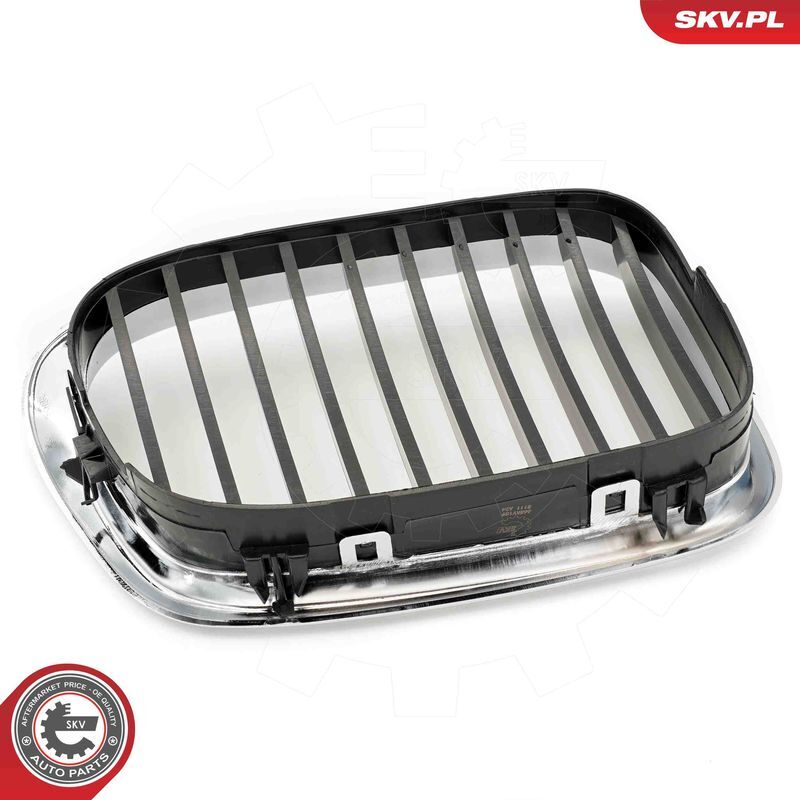 ESEN SKV, Grille de radiateur