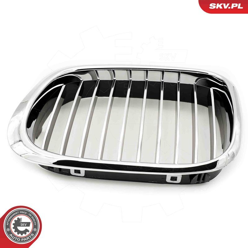 ESEN SKV, Grille de radiateur