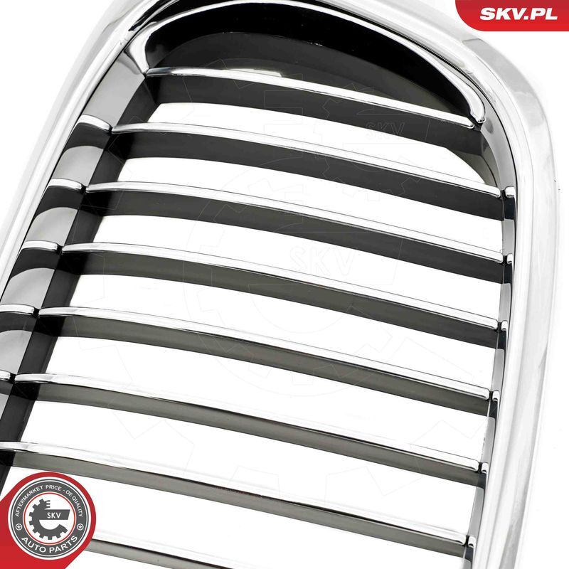 ESEN SKV, Grille de radiateur