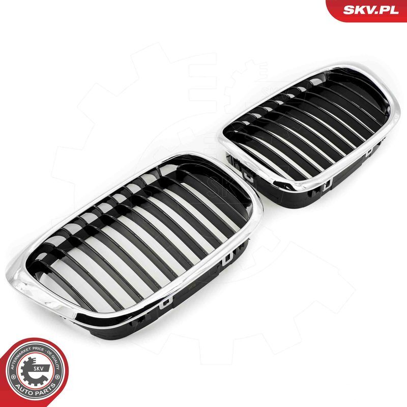 ESEN SKV, Grille de radiateur