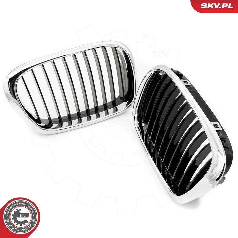 ESEN SKV, Grille de radiateur