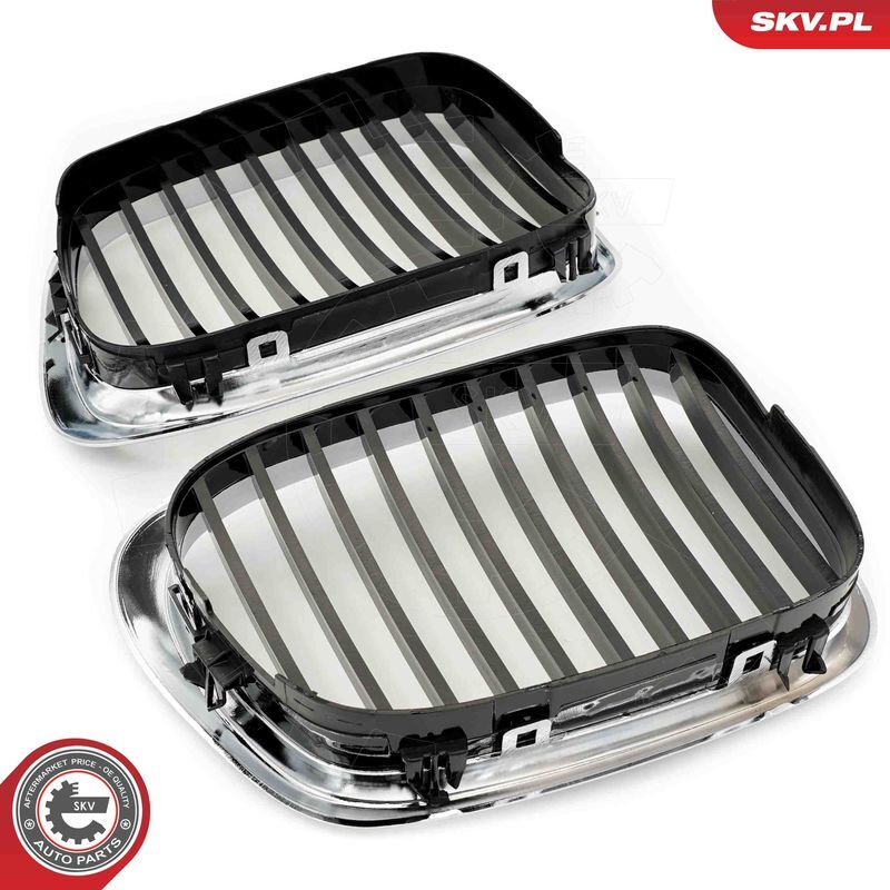 ESEN SKV, Grille de radiateur