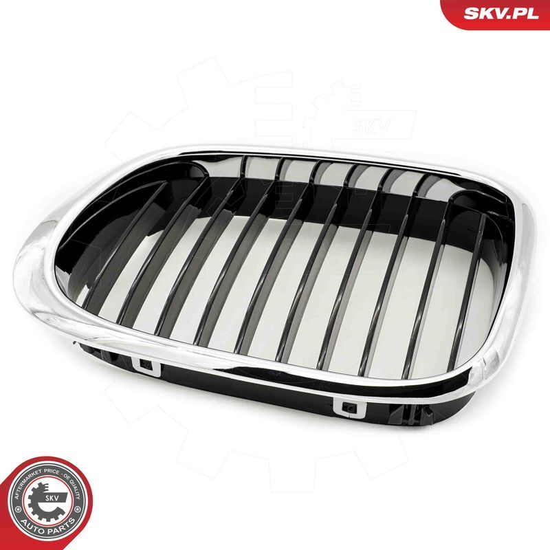 ESEN SKV, Grille de radiateur