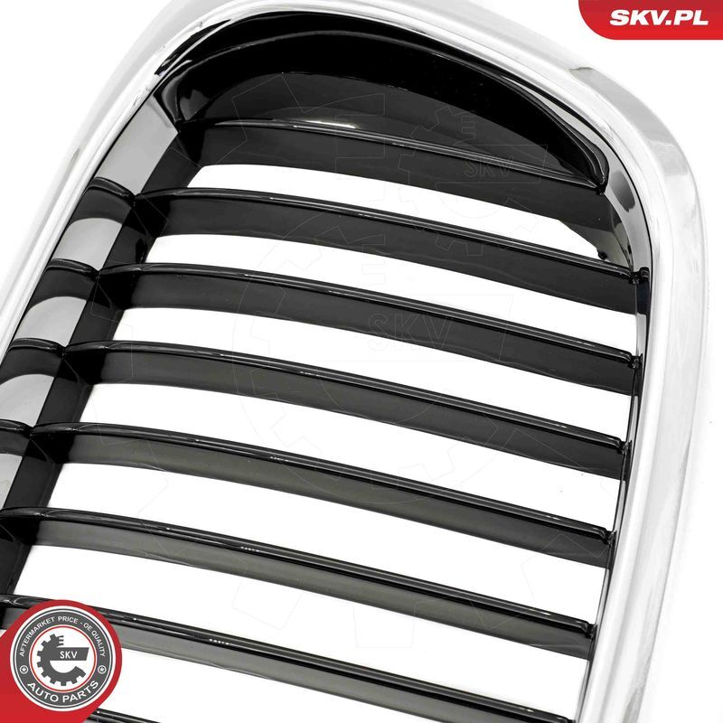 ESEN SKV, Grille de radiateur