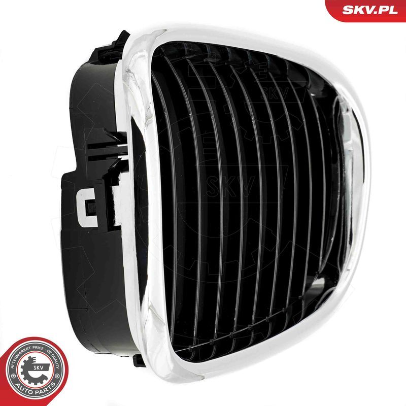 ESEN SKV, Grille de radiateur