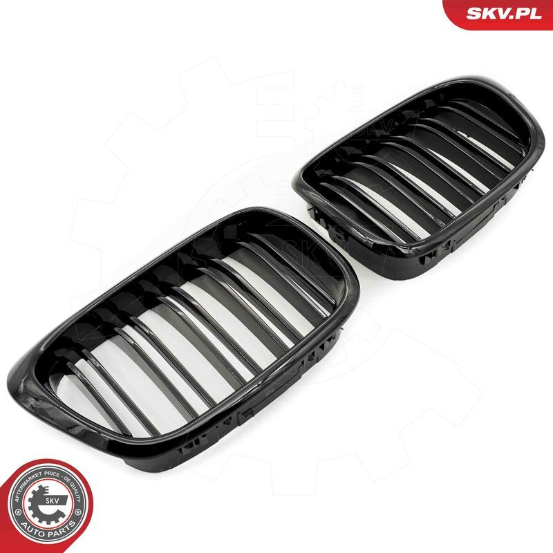 ESEN SKV, Grille de radiateur