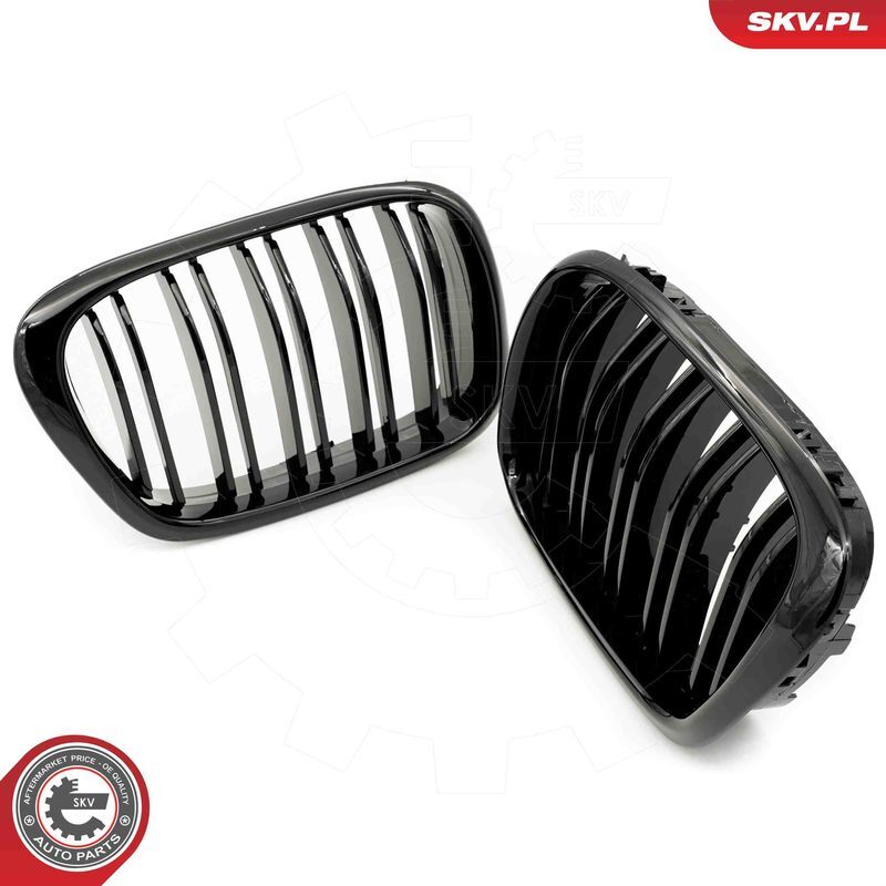 ESEN SKV, Grille de radiateur