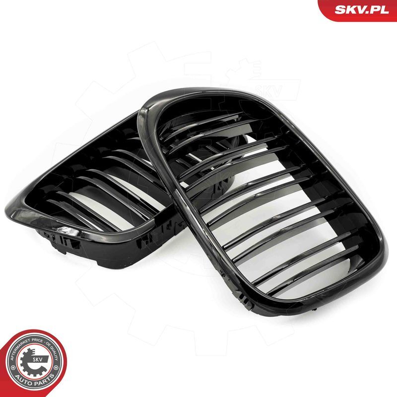 ESEN SKV, Grille de radiateur