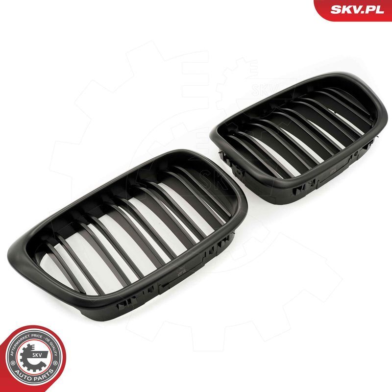 ESEN SKV, Grille de radiateur