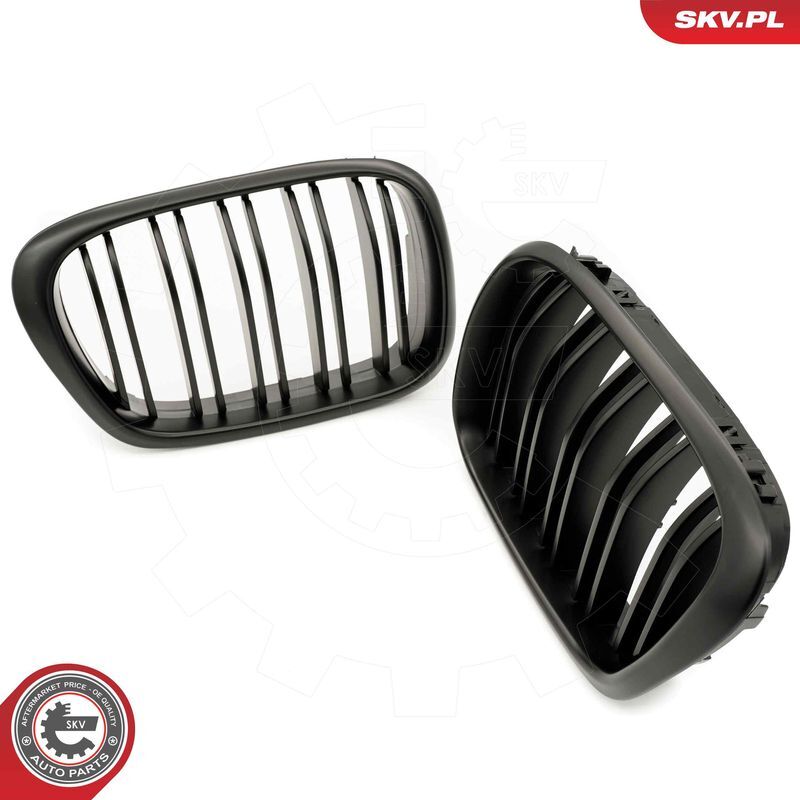 ESEN SKV, Grille de radiateur