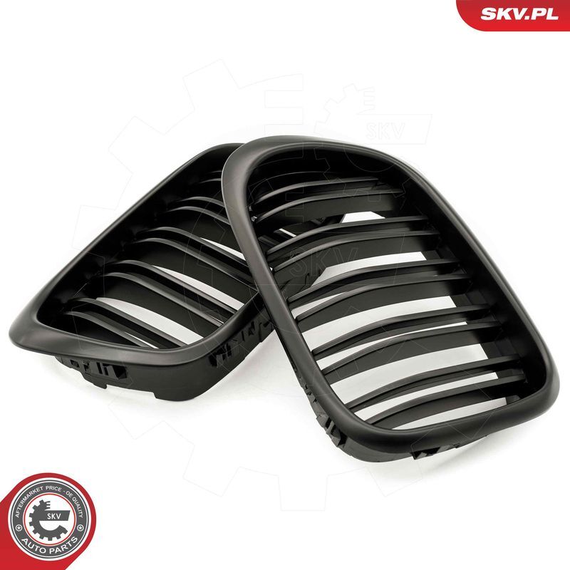 ESEN SKV, Grille de radiateur