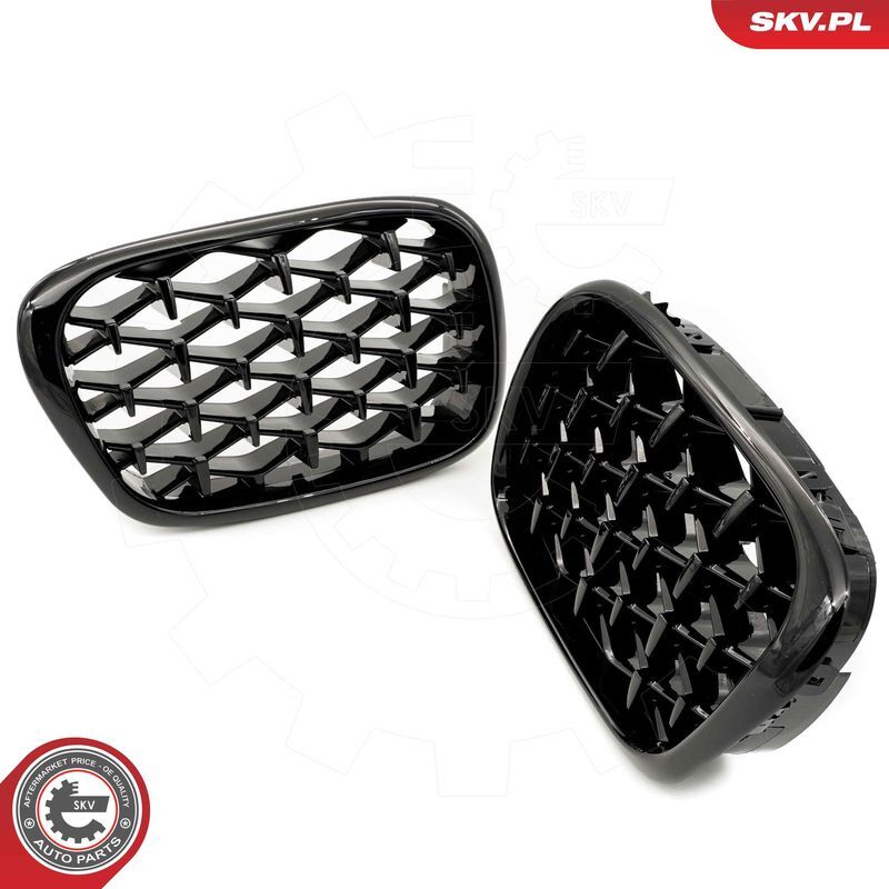 ESEN SKV, Grille de radiateur