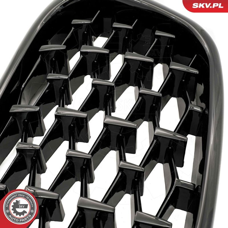 ESEN SKV, Grille de radiateur