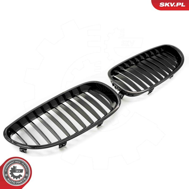 ESEN SKV, Grille de radiateur