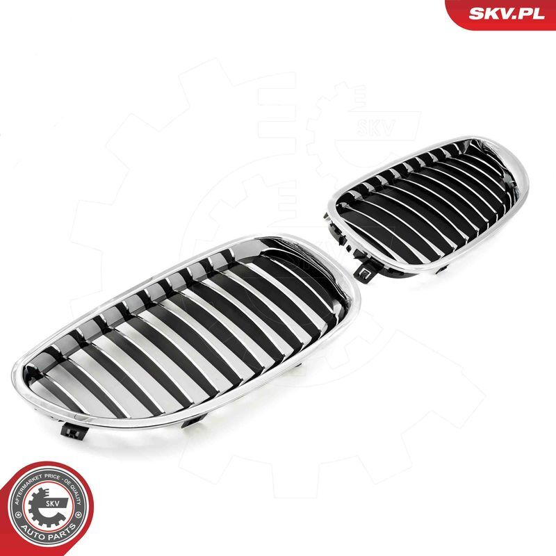 ESEN SKV, Grille de radiateur