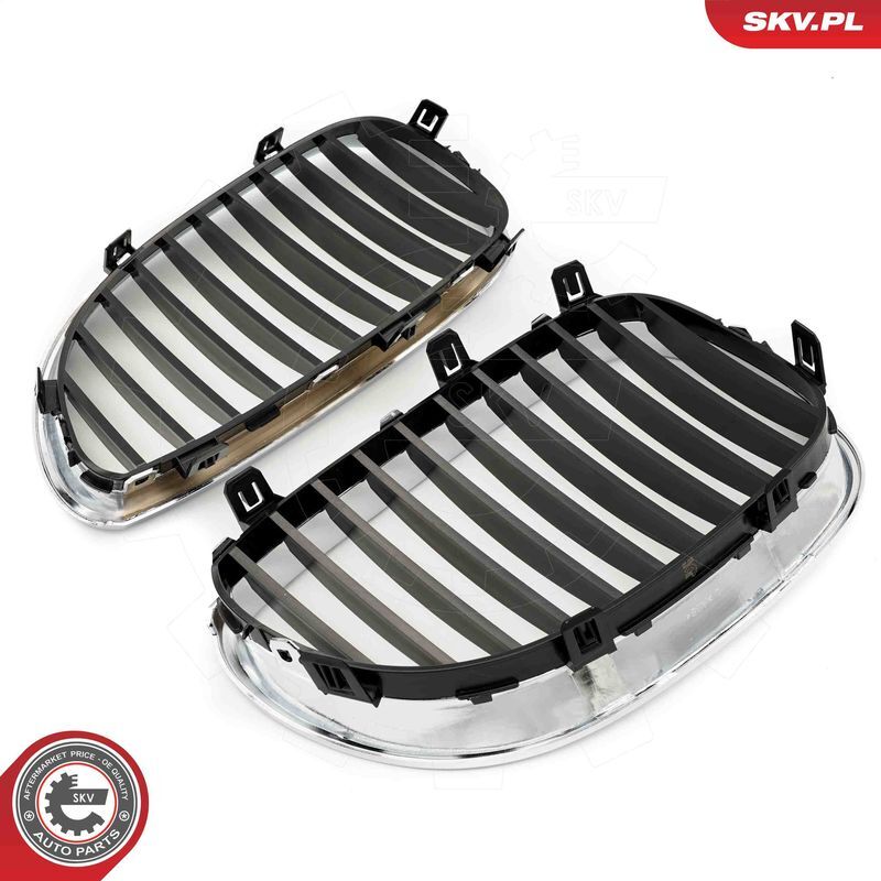 ESEN SKV, Grille de radiateur