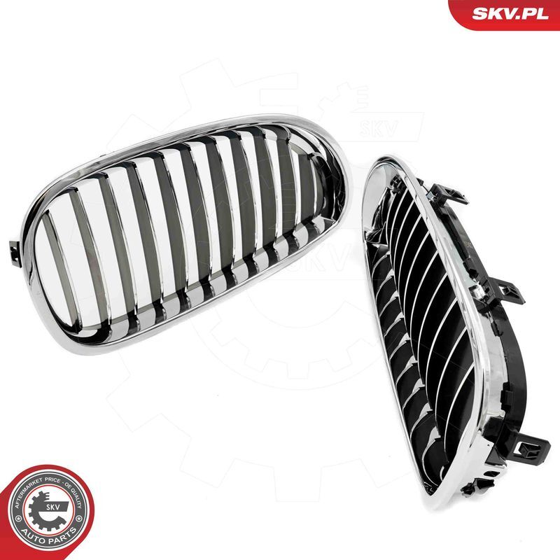 ESEN SKV, Grille de radiateur