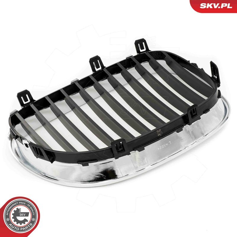 ESEN SKV, Grille de radiateur